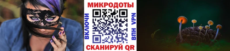 МЕГА вход  Сасово  Галлюциногенные грибы Psilocybe  где найти  